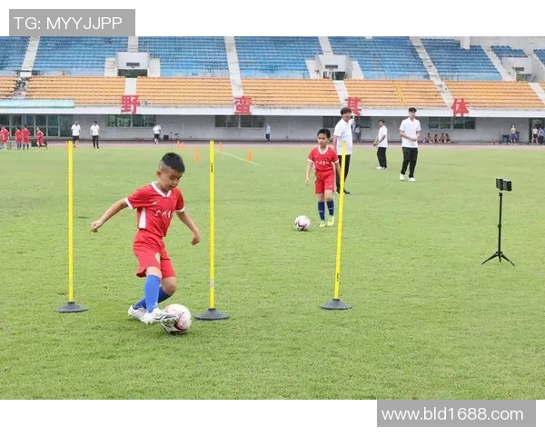 青少年足球明星的培养之路：从基础训练到心理素质全面提升