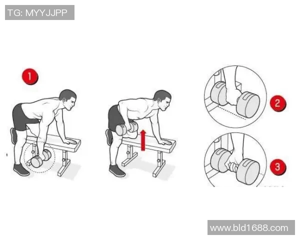 全面解析哑铃练背的多种有效动作与技巧指南